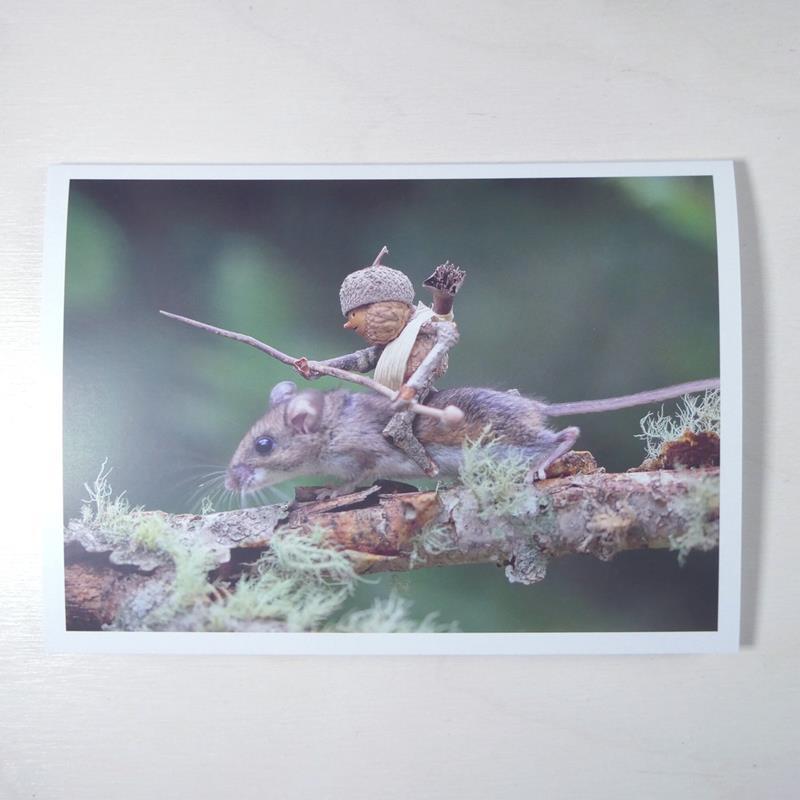 MOUSE RIDER CARD,DAVID M BIRD,DAVID M BIRD