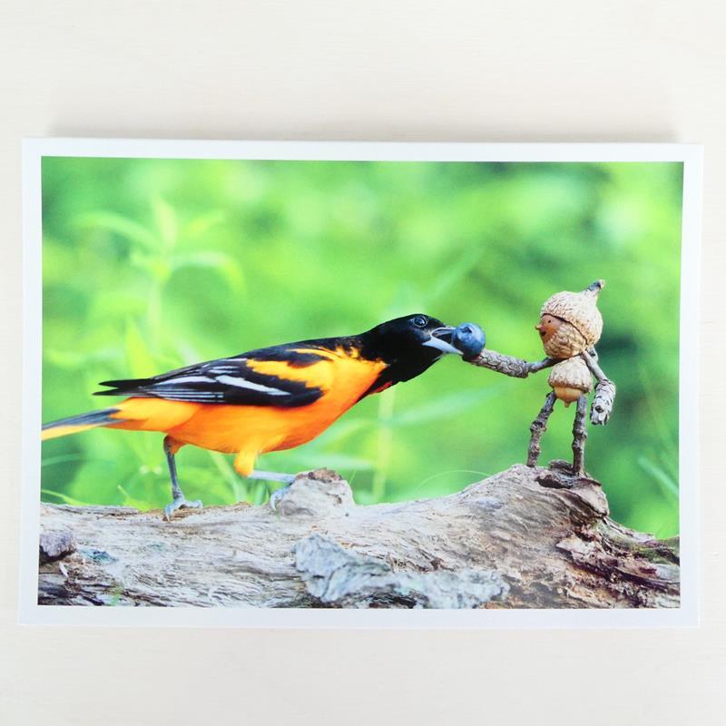 BALTIMORE ORIOLE CARD,DAVID M BIRD,DAVID M BIRD