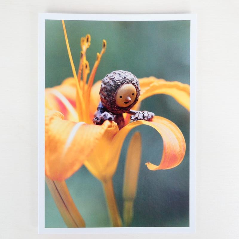 ORANGE LILY CARD,DAVID M BIRD,DAVID M BIRD