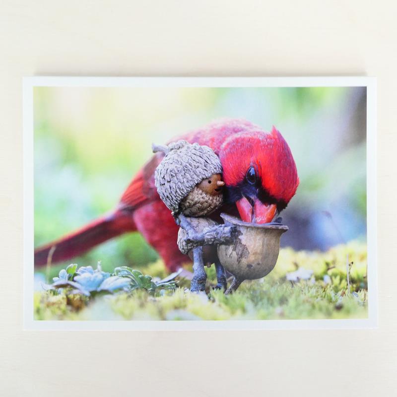 CARDINAL SNUG CARD,DAVID M BIRD,DAVID M BIRD