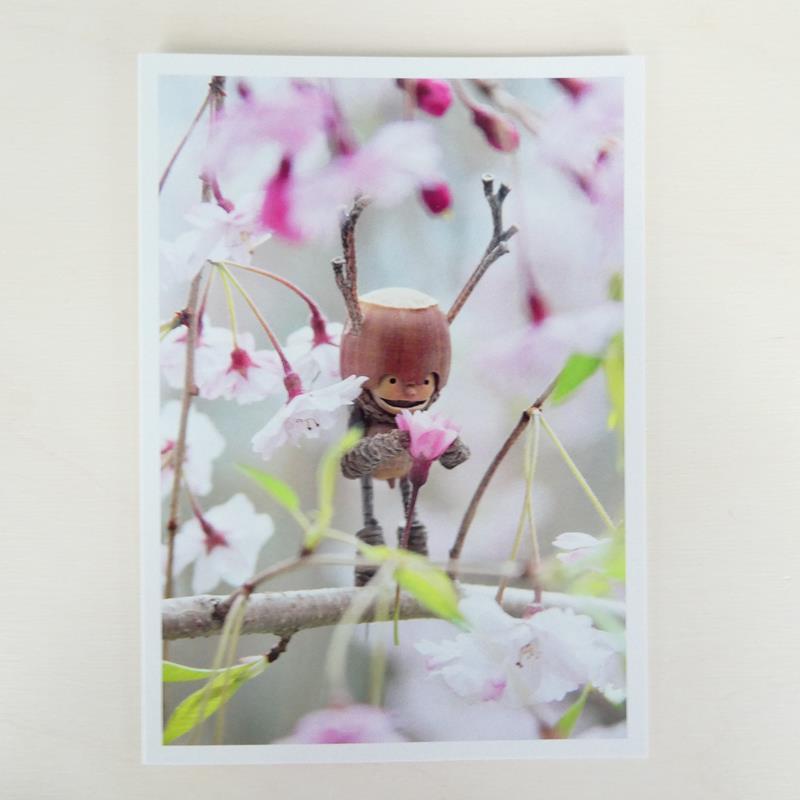 CHERRY BLOSSOM CARD,DAVID M BIRD,DAVID M BIRD