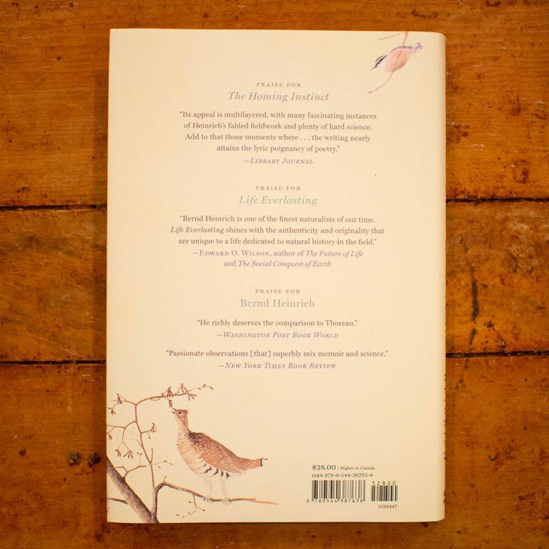 additional Image 3